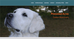 Desktop Screenshot of pinewoodacresgoldens.com