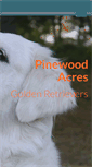 Mobile Screenshot of pinewoodacresgoldens.com